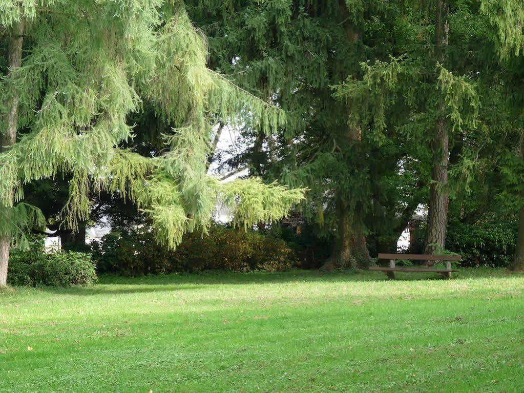 Parkhotel Zur Klause Bad Hall Dış mekan fotoğraf